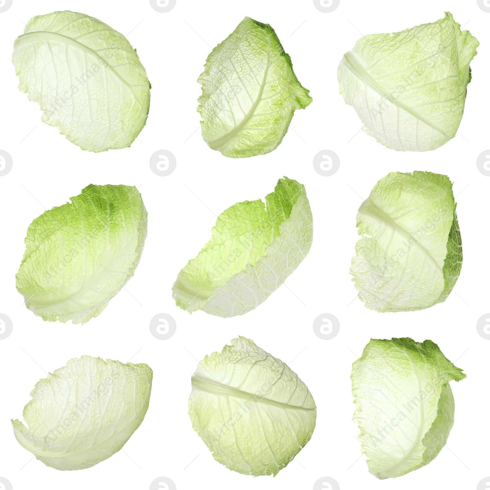 Image of Set with fresh leaves of savoy cabbage on white background