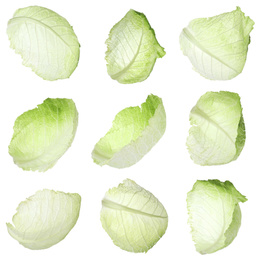 Image of Set with fresh leaves of savoy cabbage on white background
