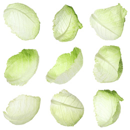 Set with fresh leaves of savoy cabbage on white background