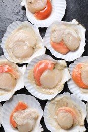 Fresh raw scallops with shells on black textured table, flat lay