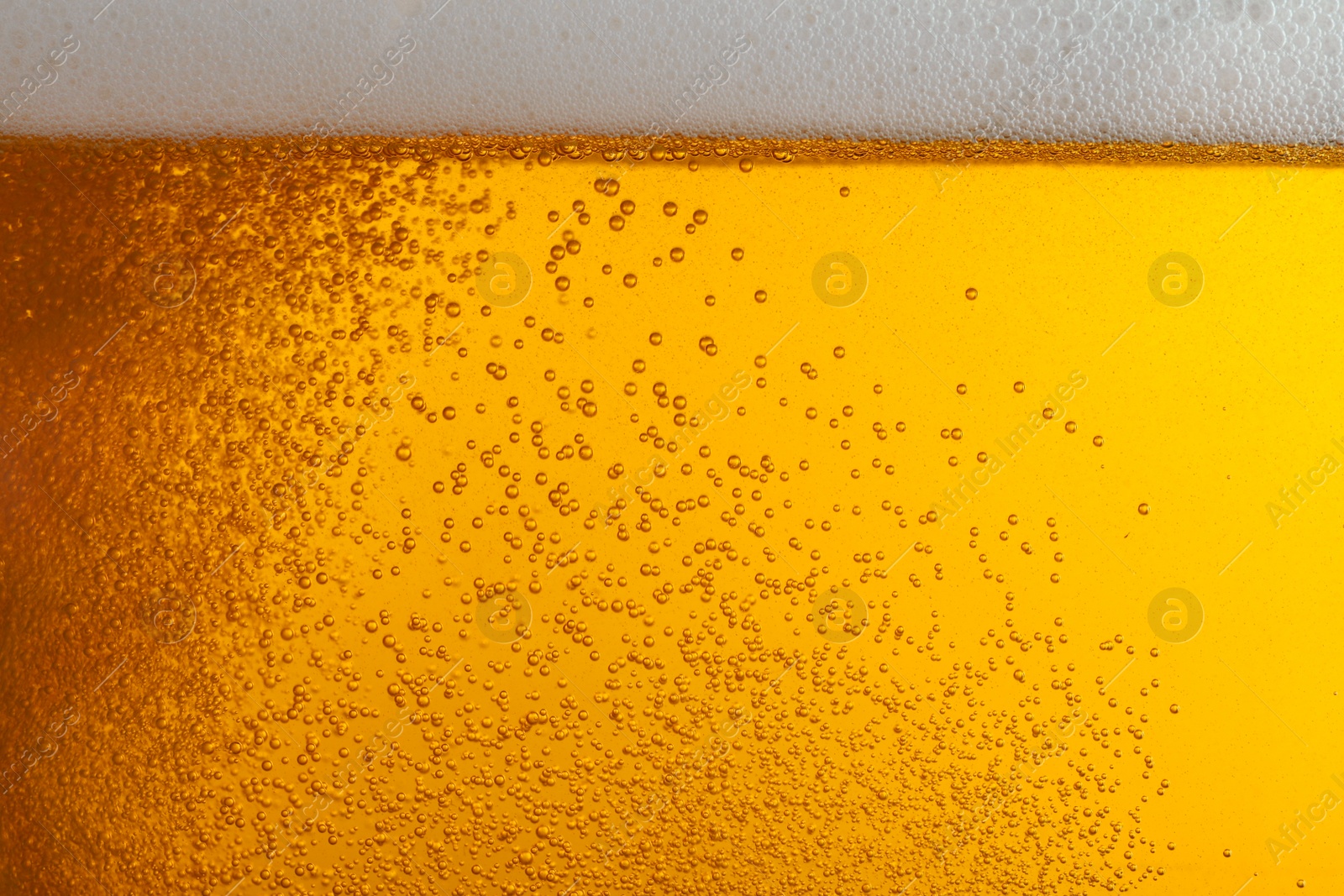 Photo of Glass of tasty beer with foam, closeup