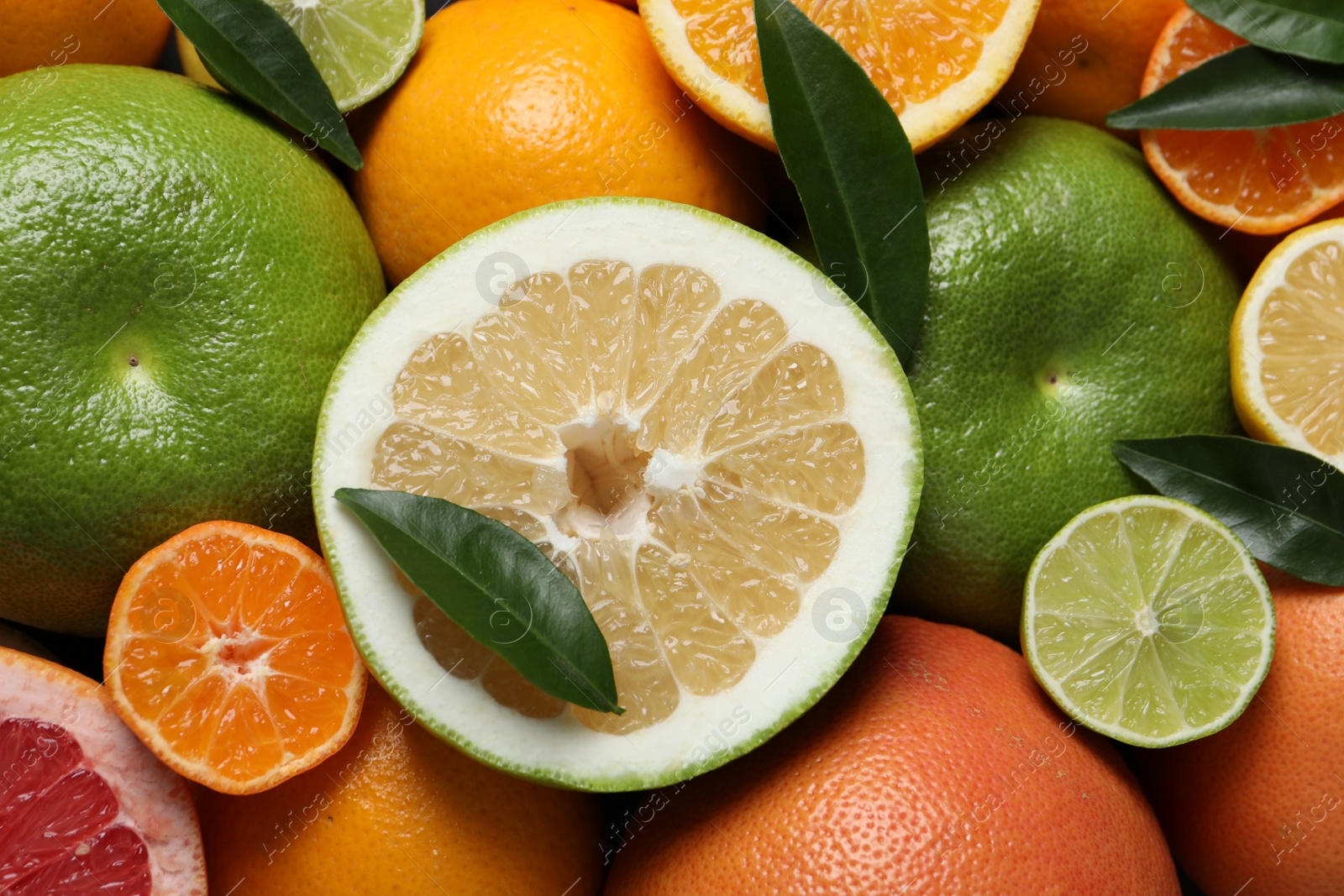 Photo of Different fresh whole and cut citrus fruits as background, top view