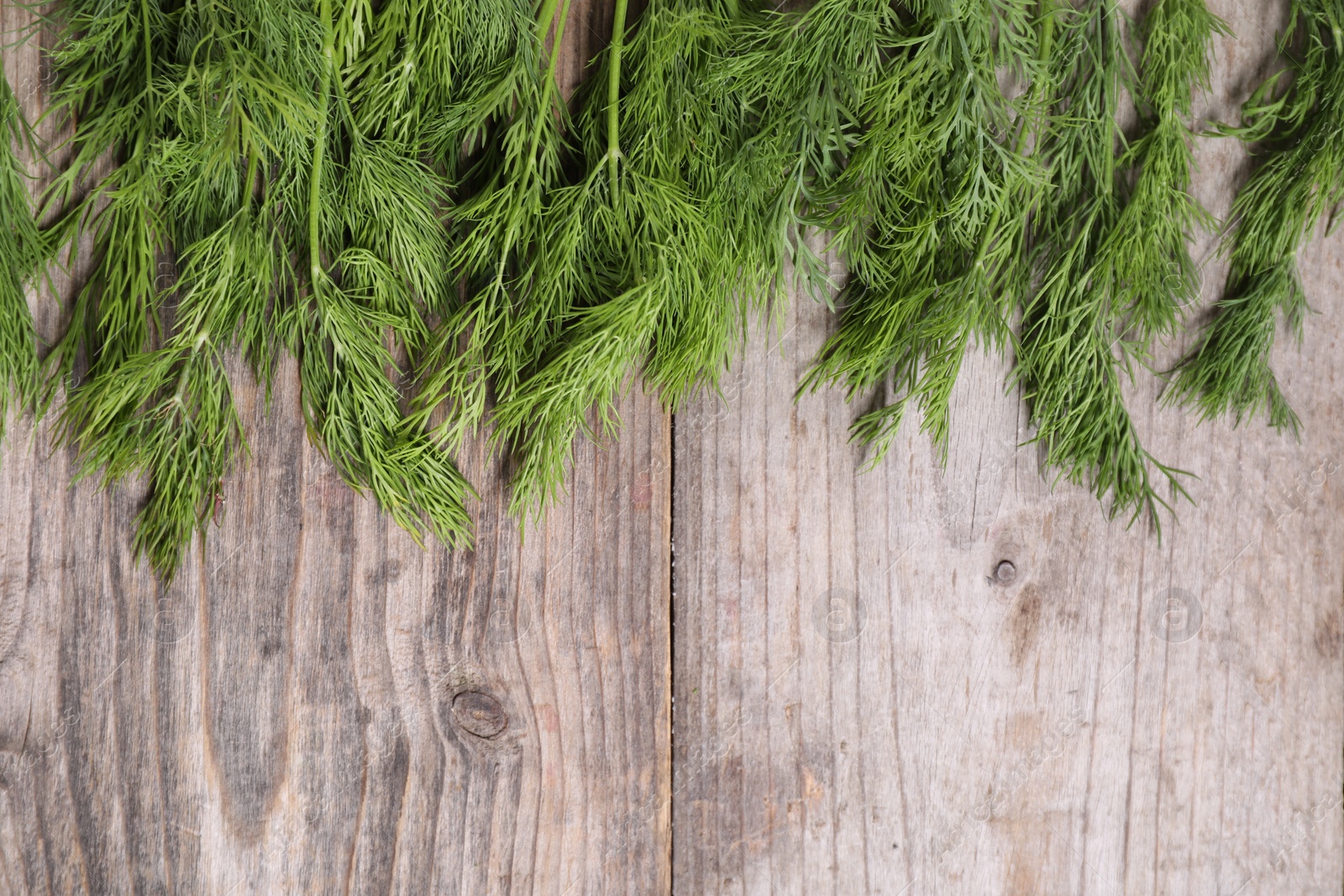 Photo of Sprigs of fresh green dill on wooden table, top view. Space for text