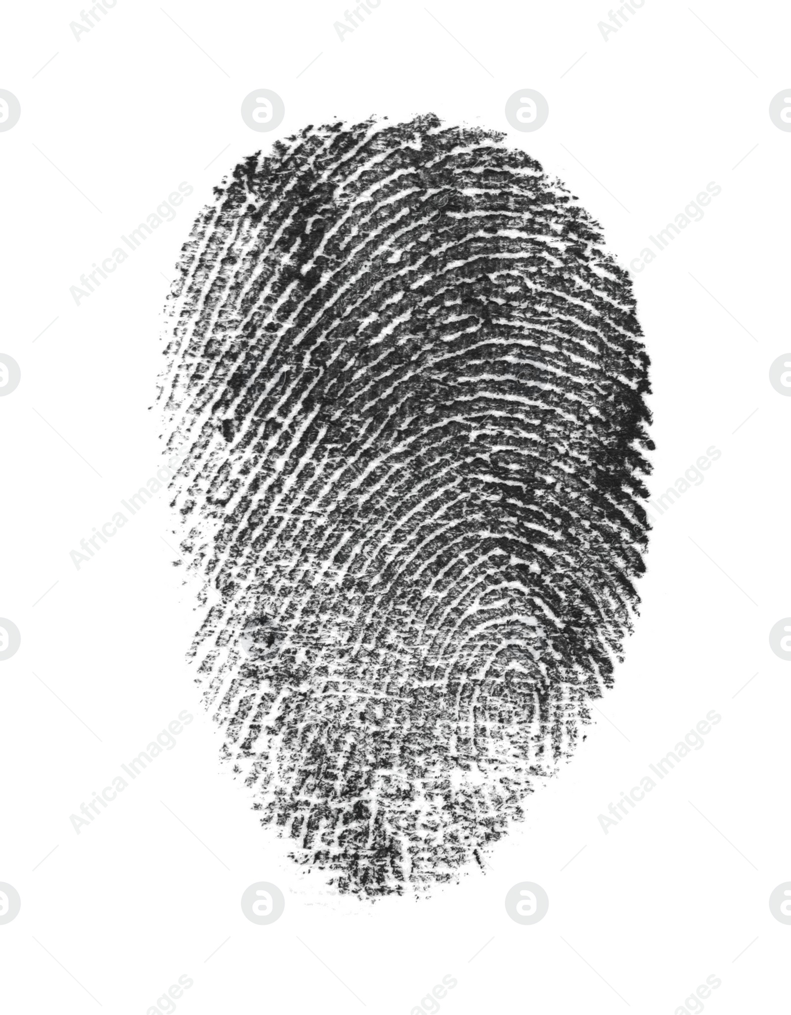 Photo of Black fingerprint made with ink on white background