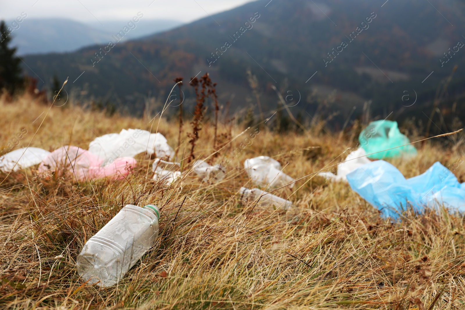 Photo of Plastic garbage scattered on grass in nature