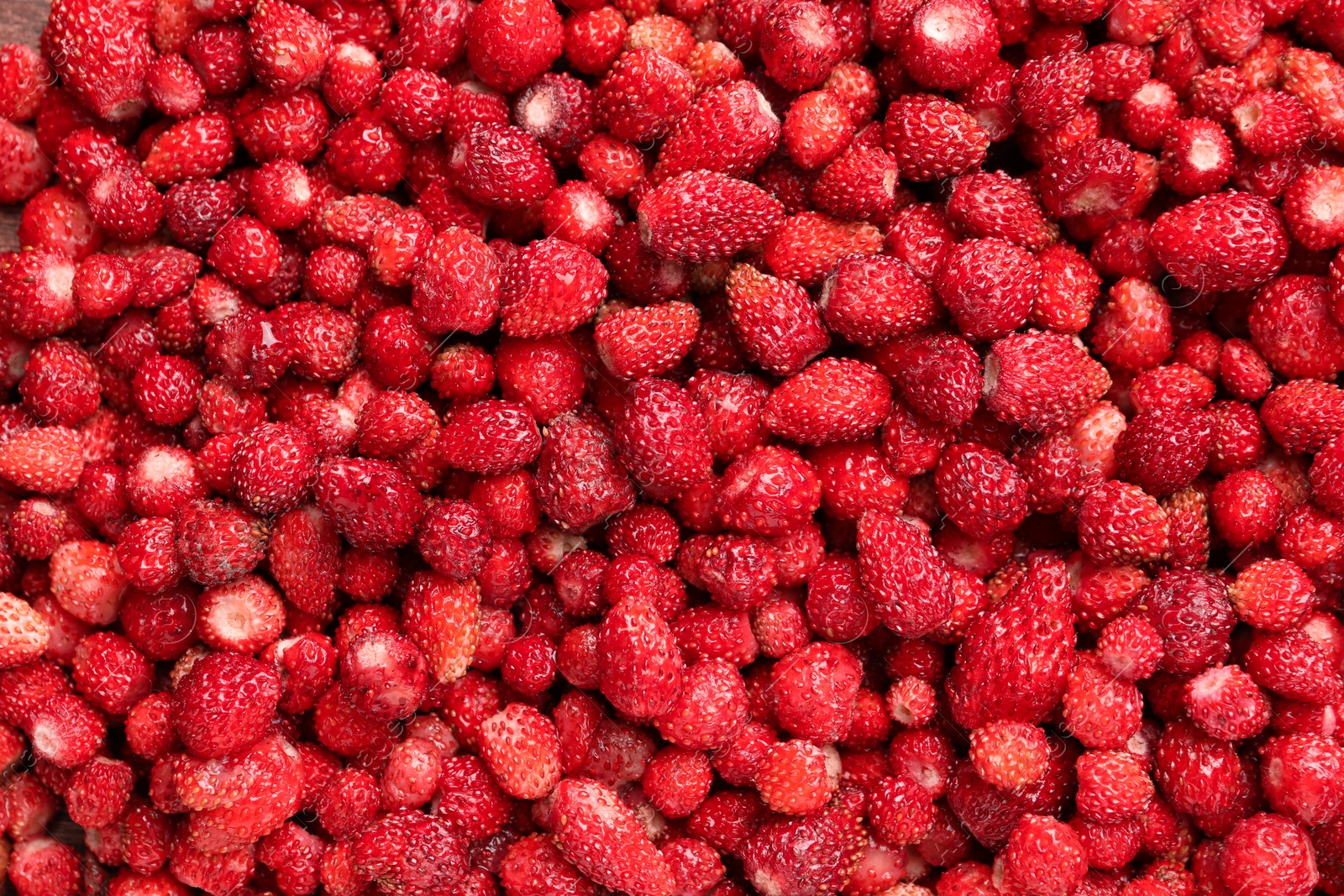 Photo of Many fresh wild strawberries as background, top view