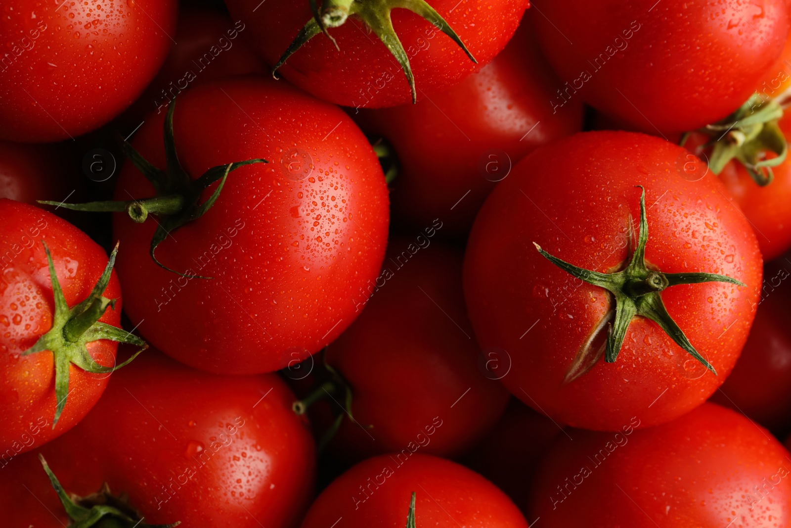 Photo of Fresh ripe red tomatoes as background, closeup