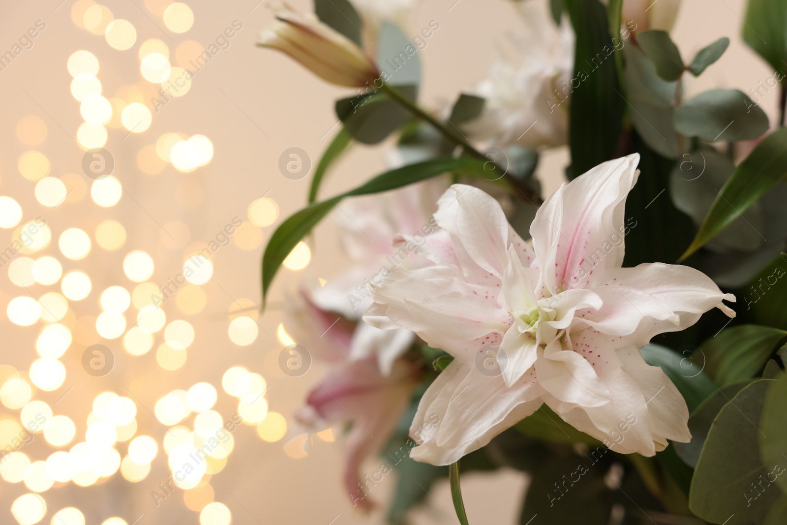 Photo of Beautiful lily flower against beige background with blurred lights, closeup. Space for text