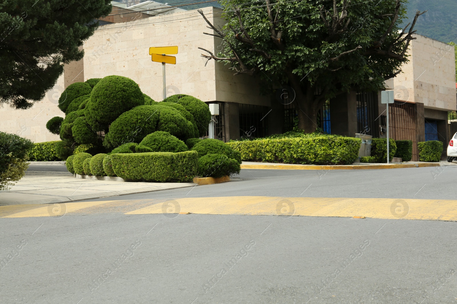 Photo of Speed bump on asphalt road in city