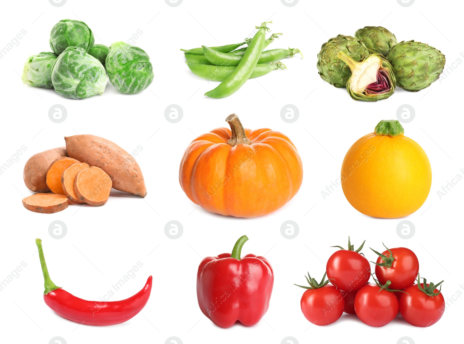 Image of Collection of different fresh vegetables on white background