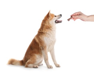 Woman giving tasty bone shaped cookie to her dog on white background, closeup