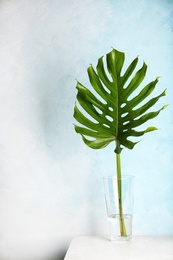 Photo of Vase with tropical monstera leaf on table near color wall