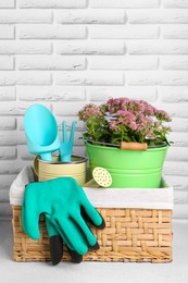 Photo of Basket with watering can, gardening tools and beautiful plant on table near white brick wall