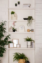 Photo of Wall shelves with beautiful decor elements and houseplants indoors. Interior design