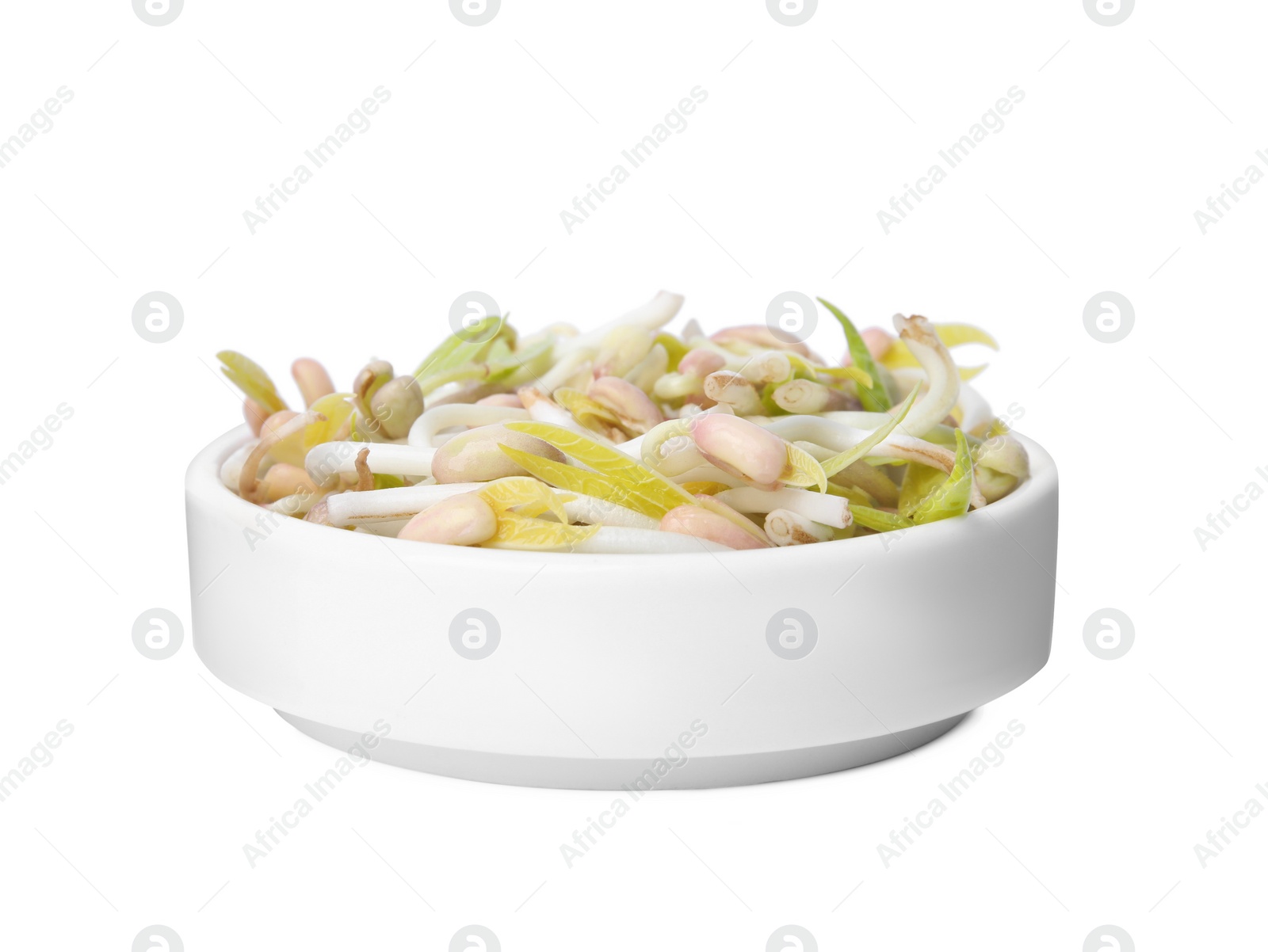 Photo of Mung bean sprouts in plate isolated on white