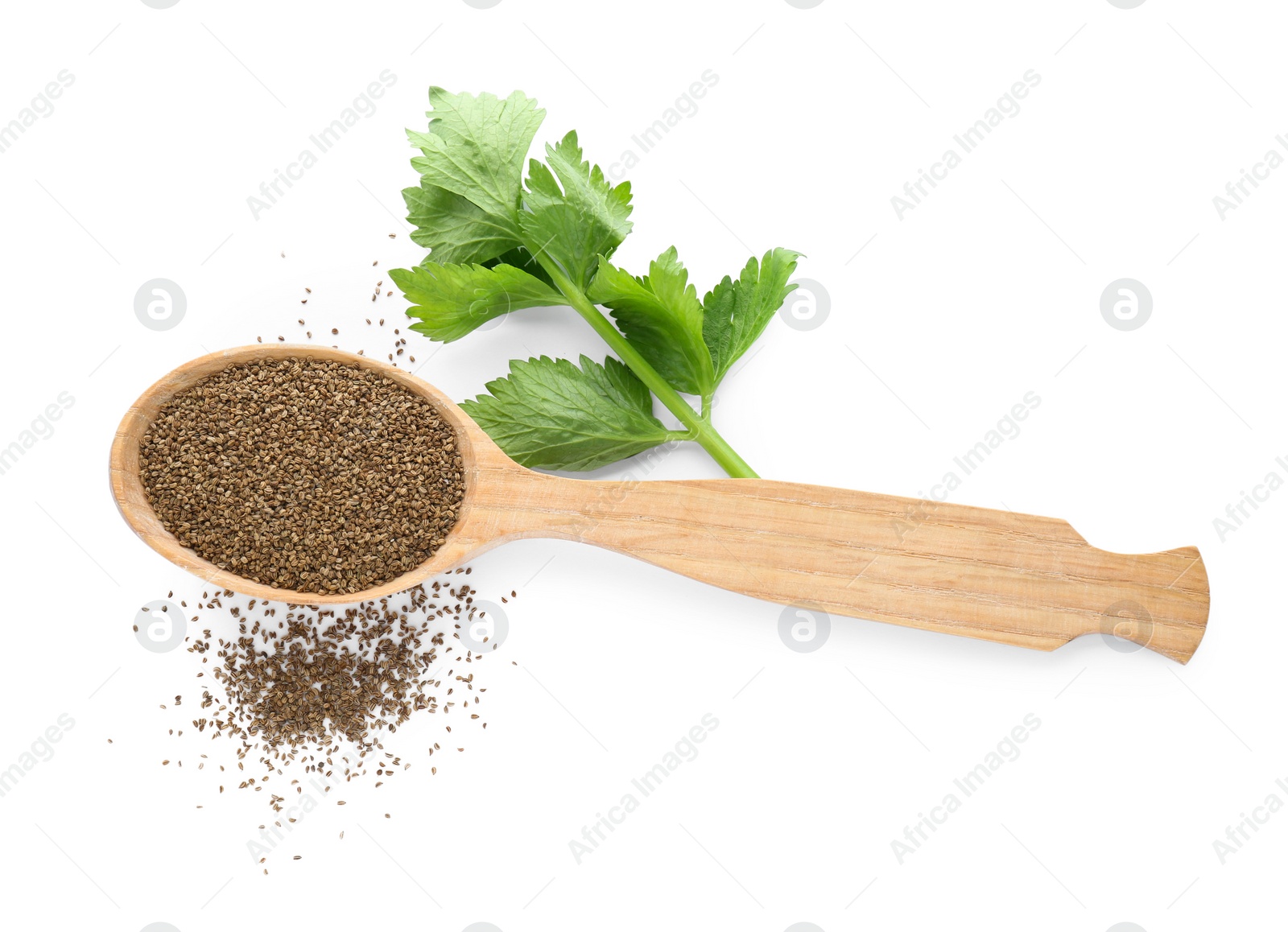 Photo of Spoon of celery seeds and fresh plant isolated on white, top view