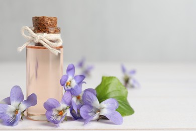 Beautiful wood violets and essential oil on white table, space for text. Spring flowers