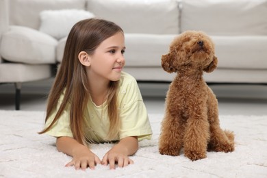 Photo of Little child and cute puppy on carpet at home. Lovely pet