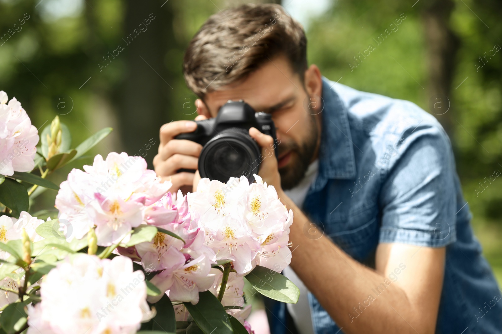 Photo of Photographer taking photo of blossoming bush with professional camera in park