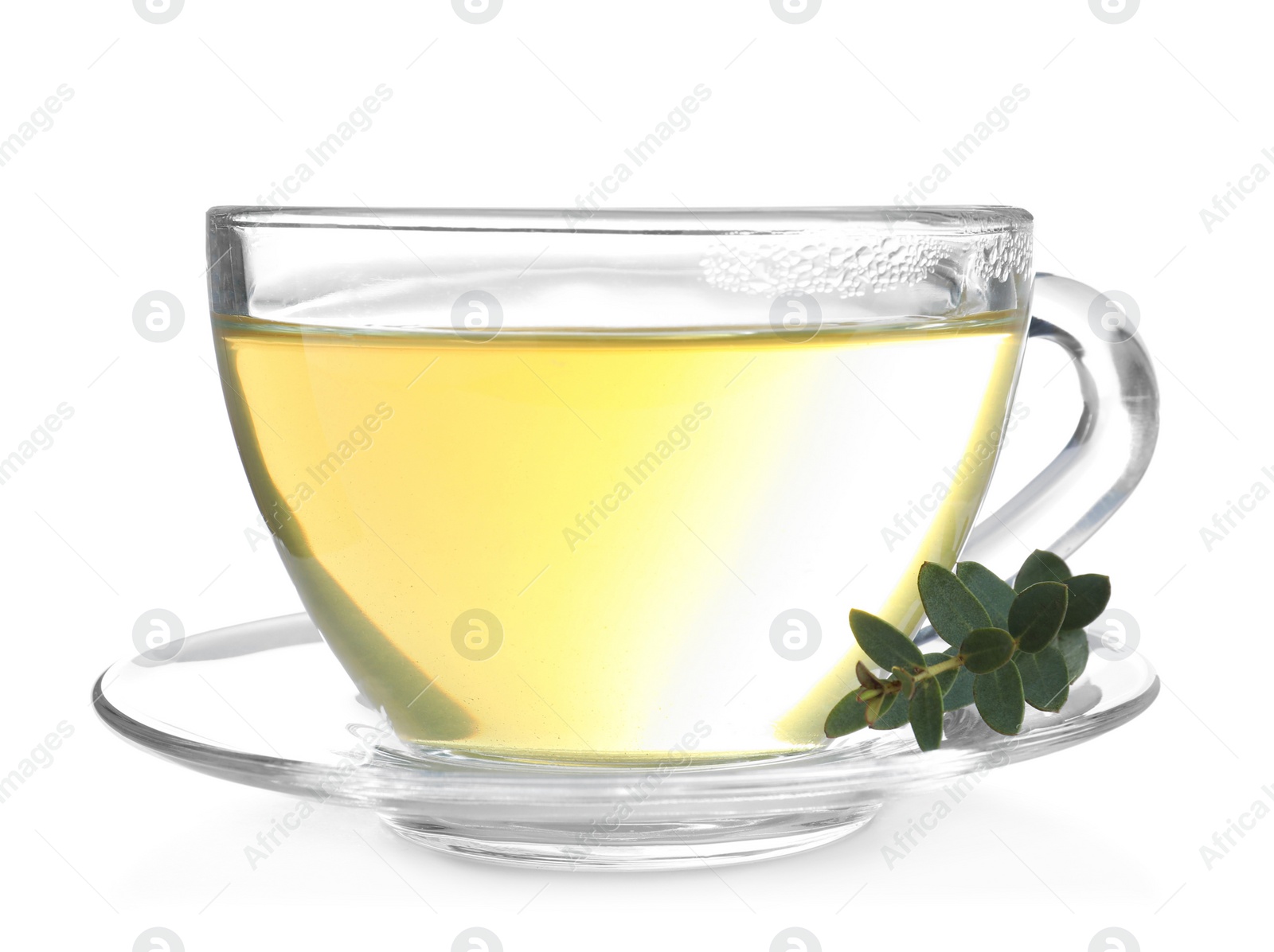 Photo of Cup of green tea with eucalyptus leaves on white background