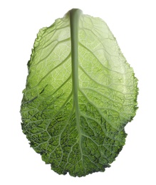 Leaf of fresh savoy cabbage isolated on white