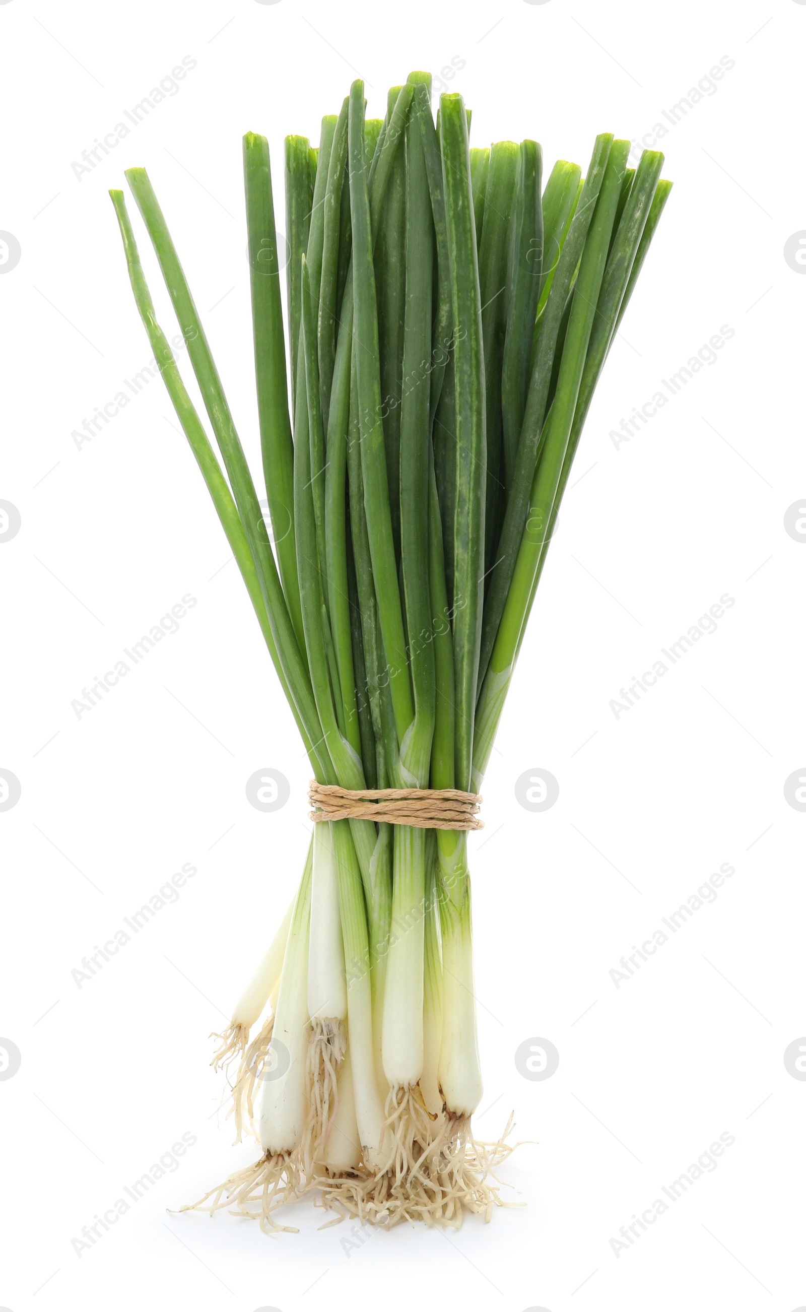 Photo of Tied fresh green onion on white background