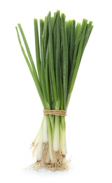 Photo of Tied fresh green onion on white background