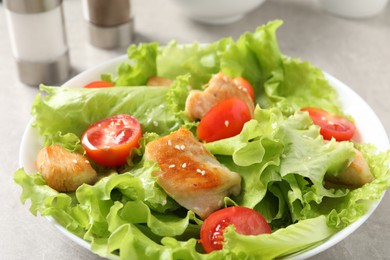 Delicious salad with chicken and cherry tomato on table, closeup