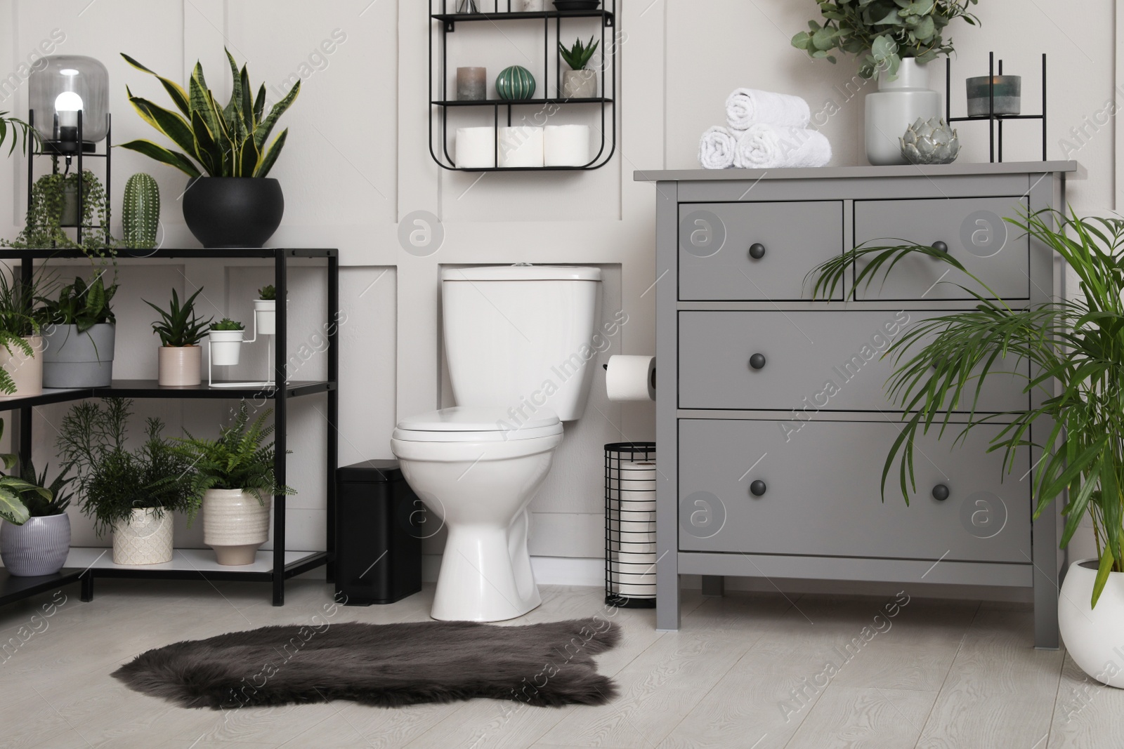 Photo of Stylish bathroom interior with toilet bowl and many beautiful houseplants