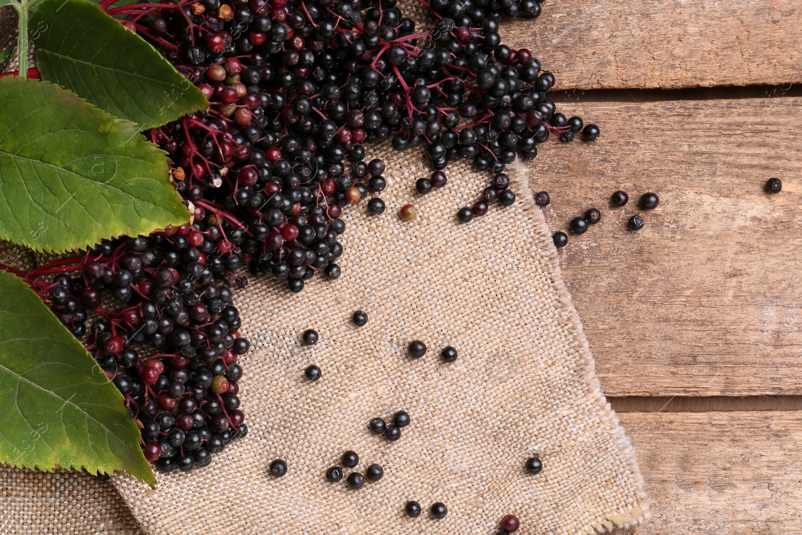 Photo of Tasty elderberries (Sambucus) on wooden table, flat lay