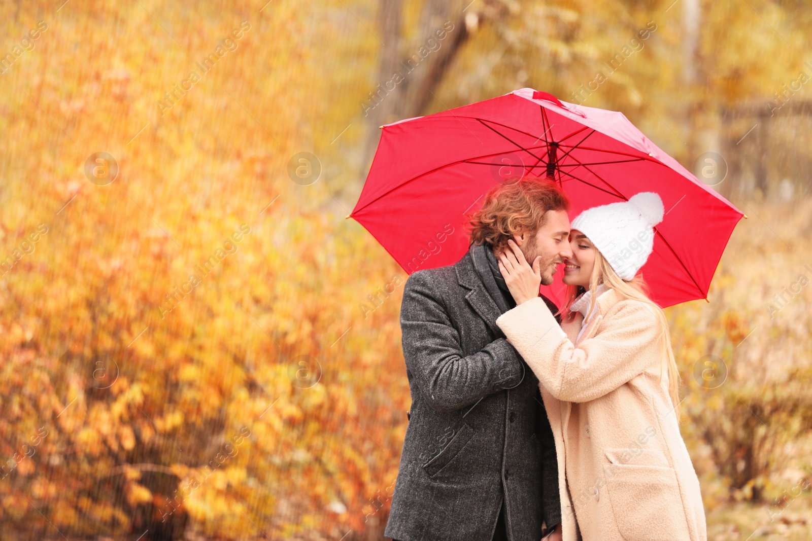 Photo of Young romantic couple with umbrella in park on autumn day