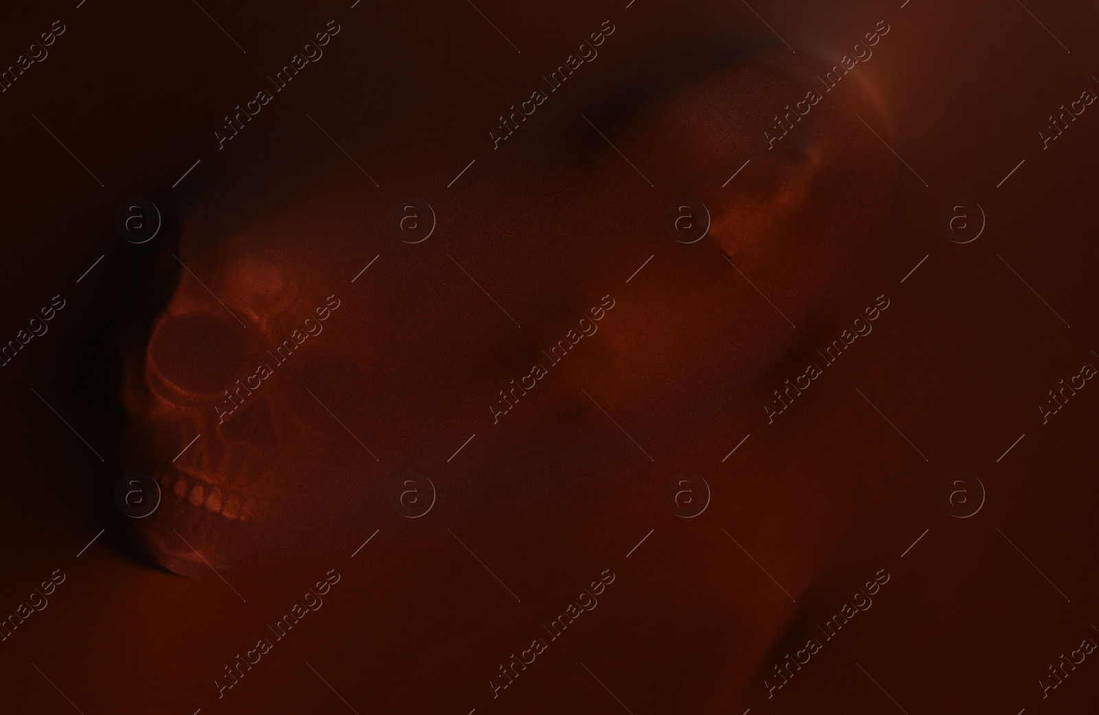 Photo of Silhouette of creepy ghost with skulls behind brown cloth