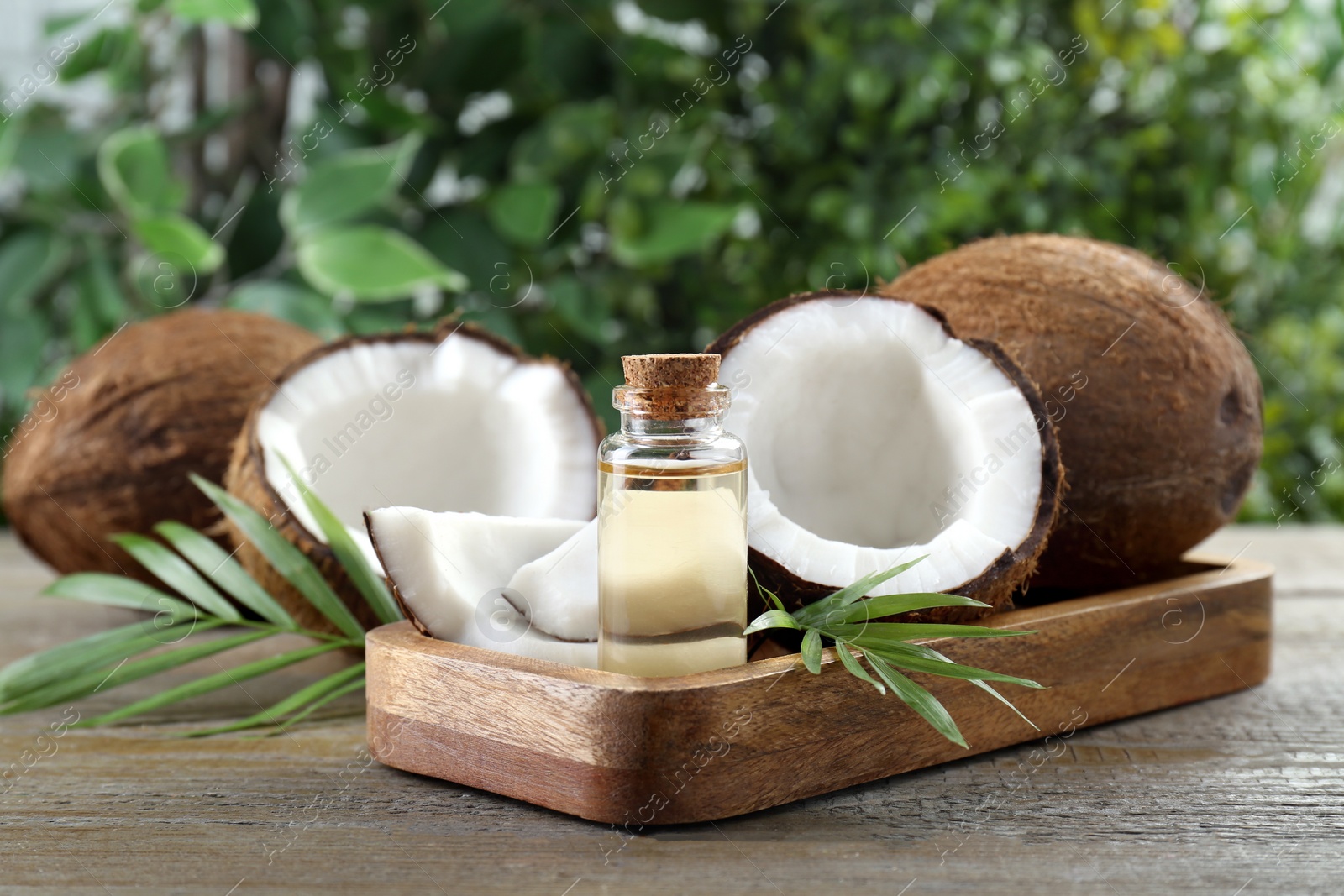 Photo of Bottle of organic coconut cooking oil, fresh fruits and leaves on wooden table