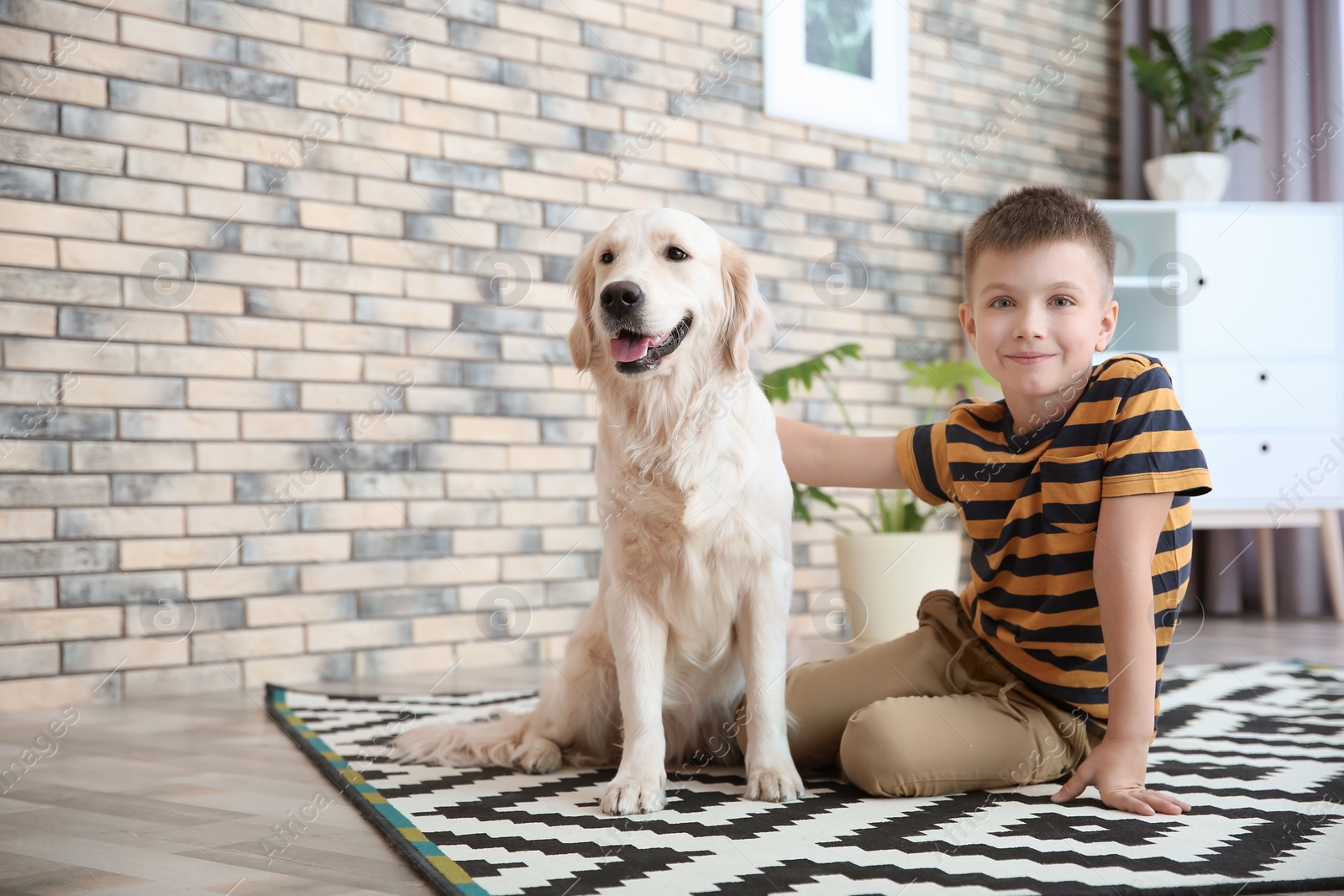 Photo of Cute little child with his pet on floor at home