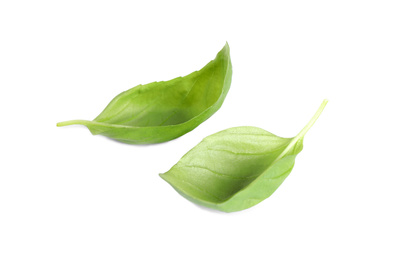 Photo of Fresh green basil leaves isolated on white