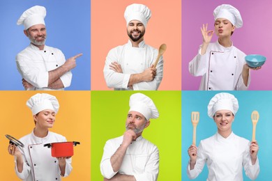 Image of Collage with photos of professional chefs on different color backgrounds