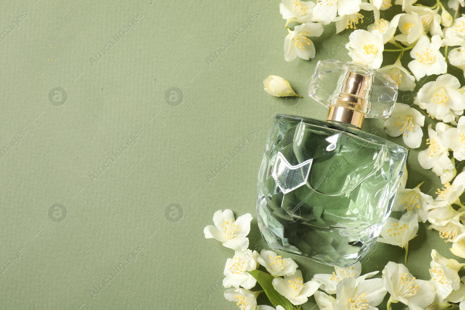 Photo of Aromatic perfume in bottle among beautiful jasmine flowers on pale green background, flat lay. Space for text