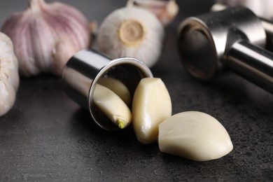 Photo of Garlic press, bulbs and cloves on grey table, closeup
