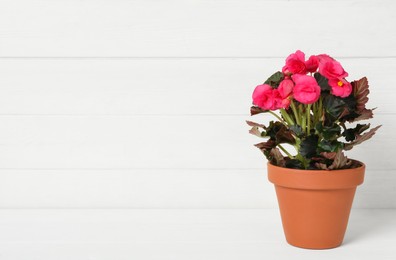 Photo of Beautiful blooming pelargonium flower in pot on white wooden table, space for text