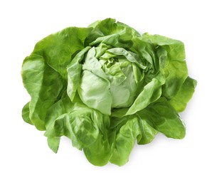 Photo of Fresh green butter lettuce head isolated on white