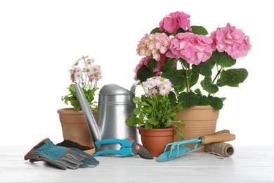 Photo of Beautiful potted plants and gardening equipment on wooden table against white background