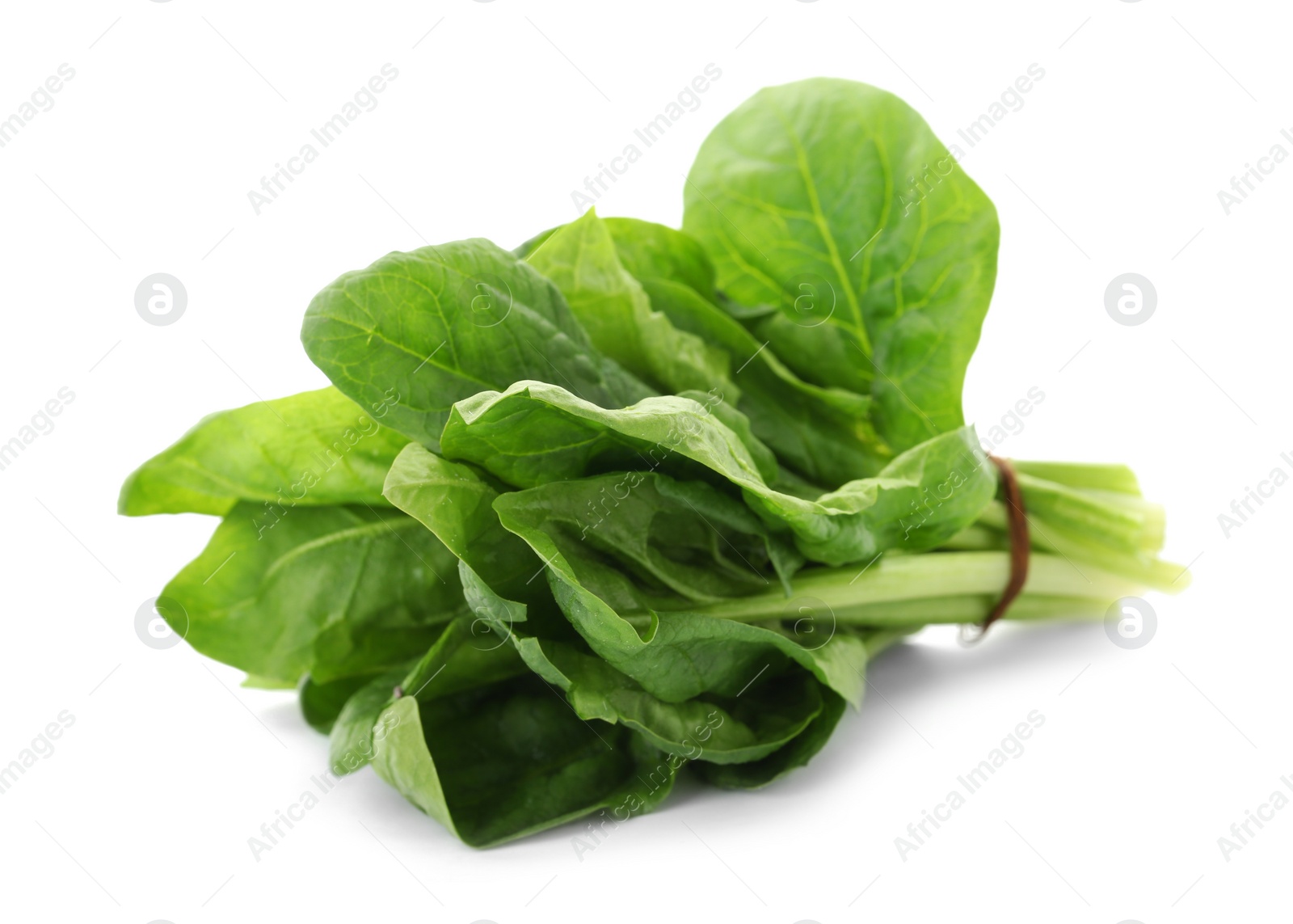 Photo of Bundle of fresh spinach isolated on white