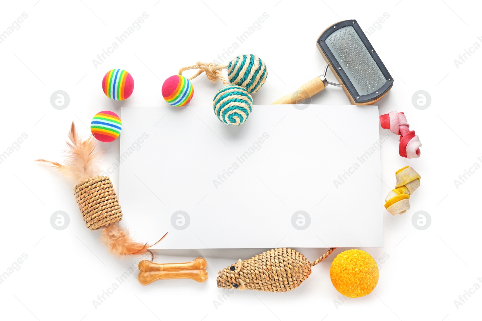 Photo of Composition with blank sheet of paper and cat's accessories on white background