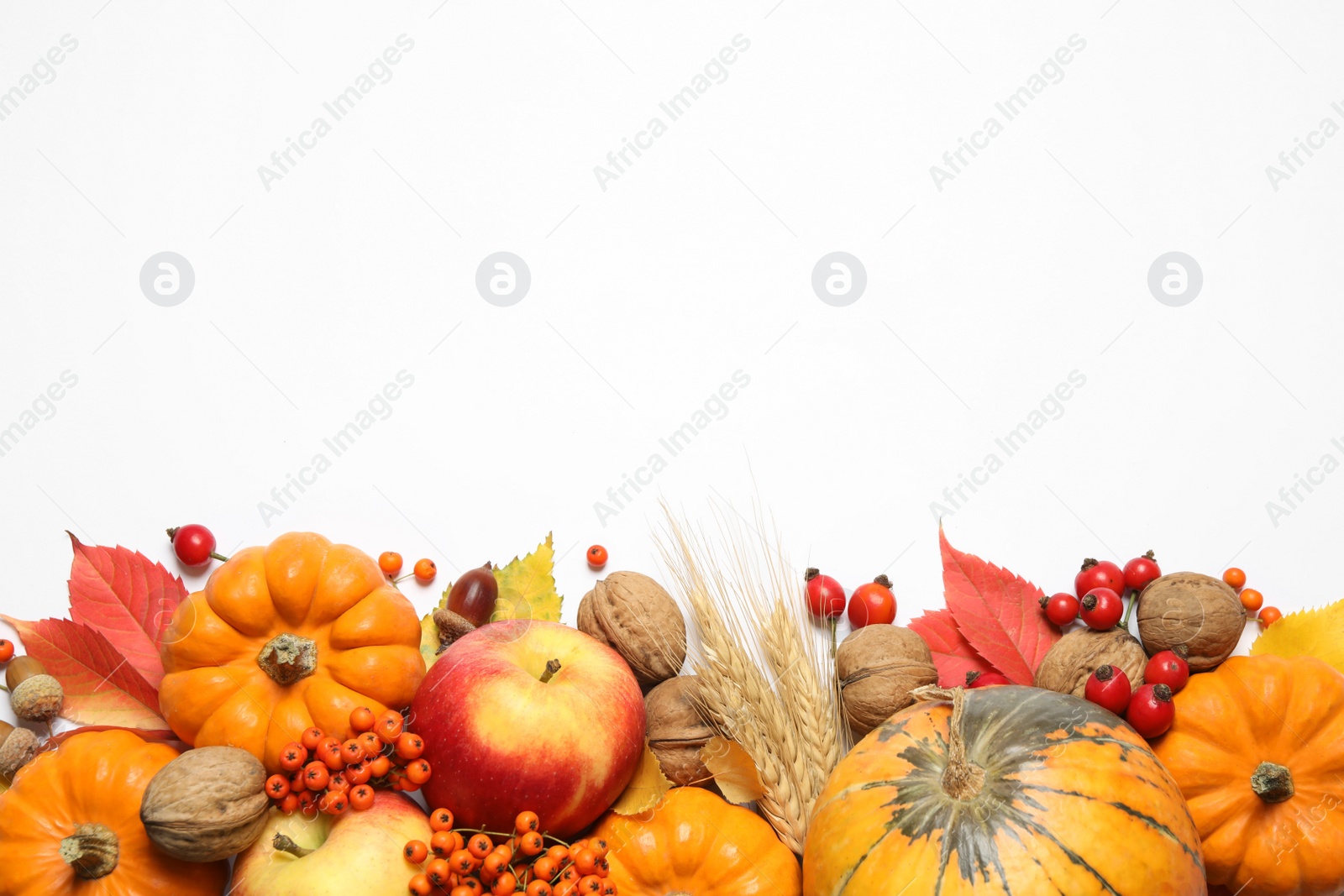 Photo of Flat lay composition with ripe pumpkins and autumn leaves on white background, space for text. Happy Thanksgiving day