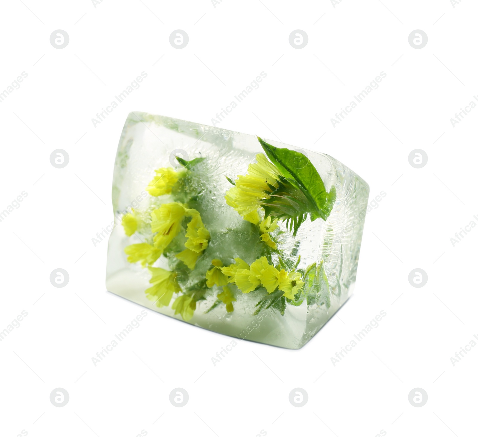 Image of Ice cube with flower on white background