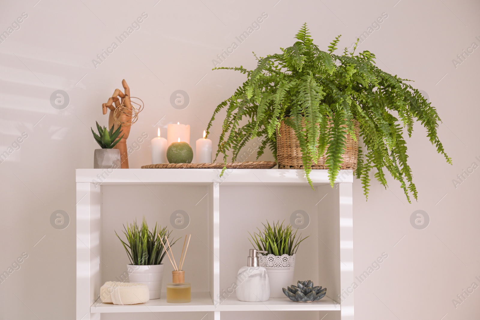 Photo of Beautiful green plants in elegant modern bathroom. Interior design