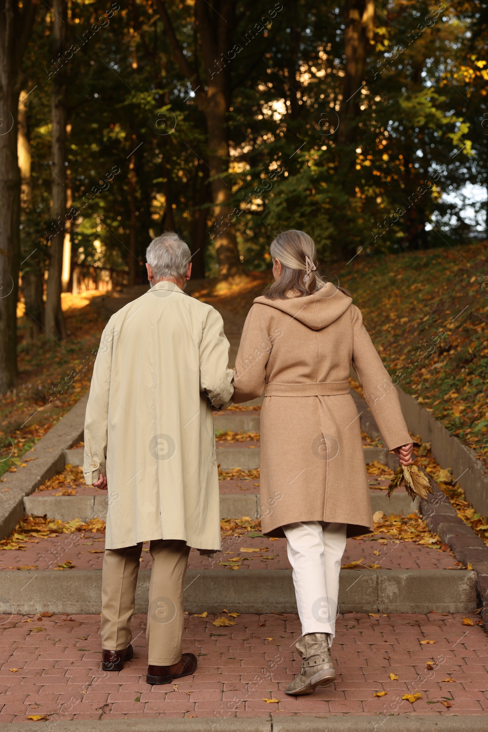 Photo of Senior couple walking in autumn park, back view