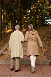 Senior couple walking in autumn park, back view