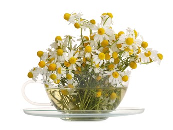 Aromatic herbal tea in glass cup with chamomile flowers isolated on white