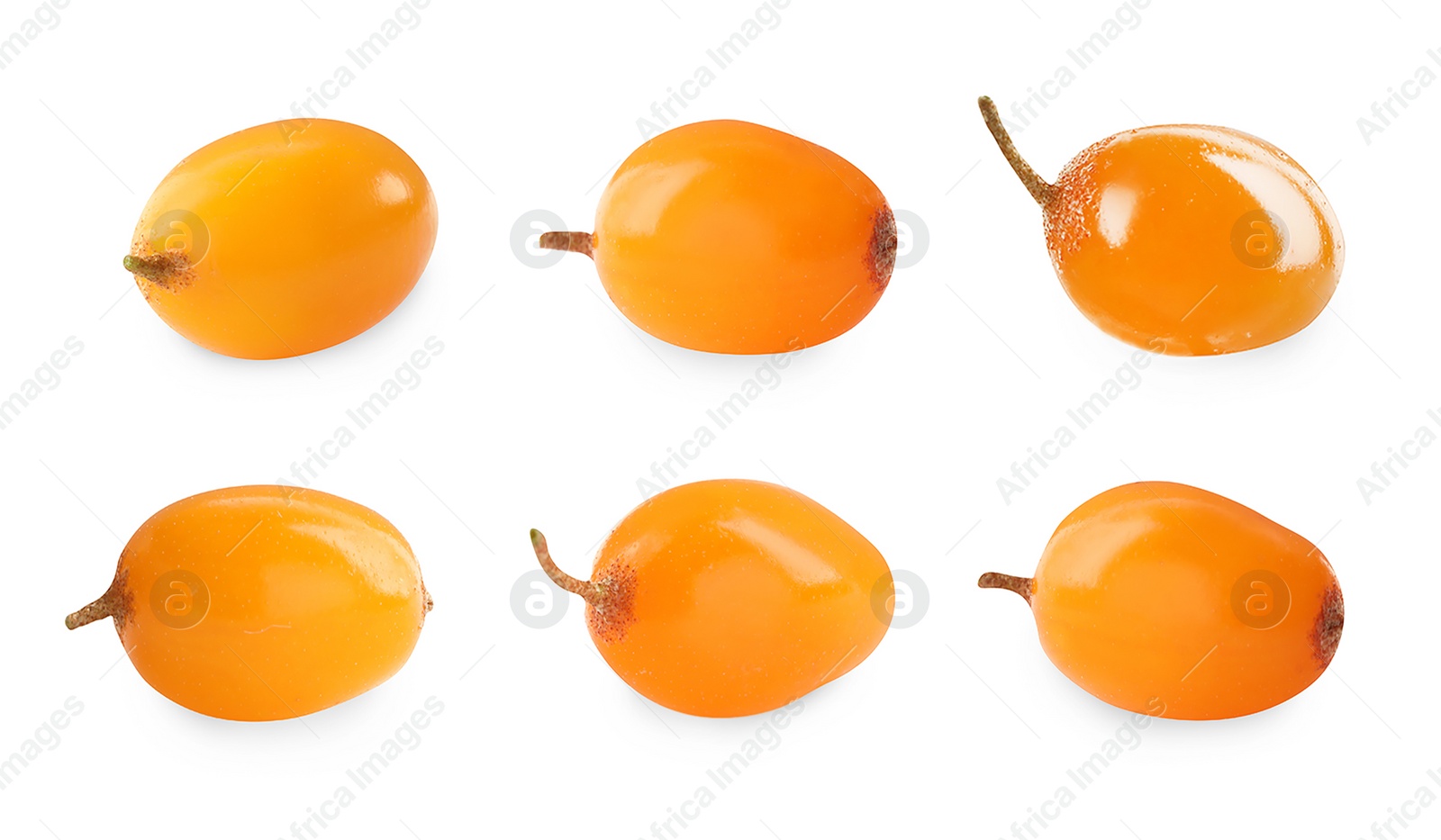 Image of Set with fresh ripe sea buckthorn berries on white background 